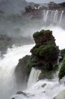 vignette argentine_070.jpg 