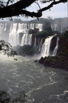vignette argentine_073.jpg 