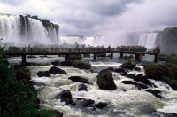 vignette argentine_088.jpg 