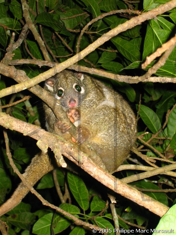 /ecran/N_australie_2005_307.jpg