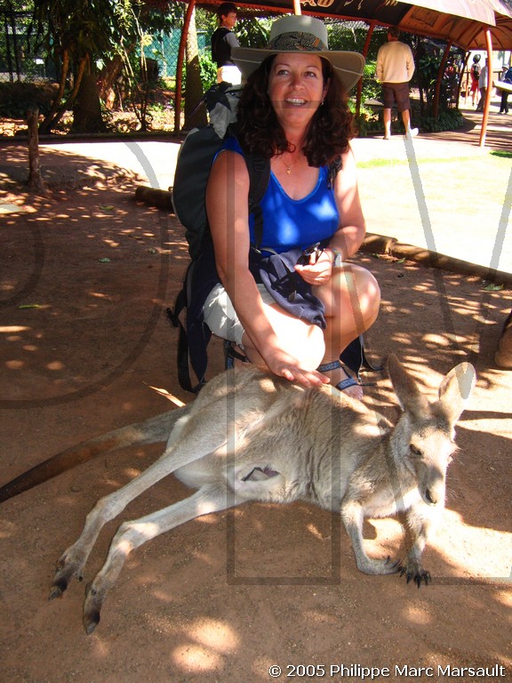 /ecran/N_australie_2005_330.jpg