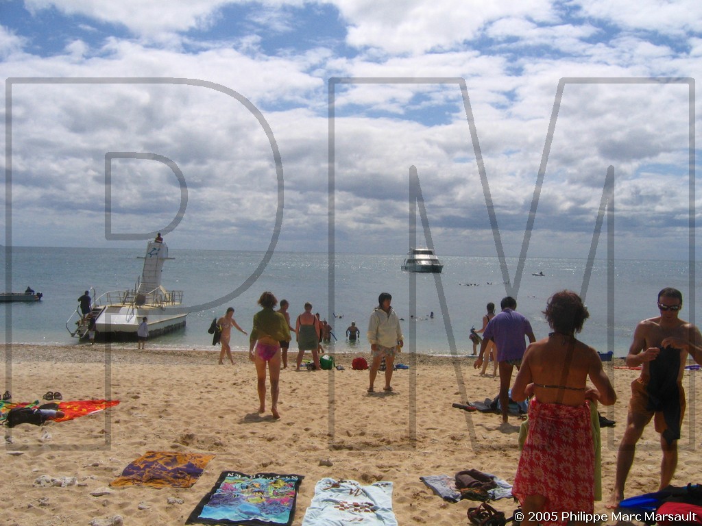 /ecran/N_australie_2005_370.jpg