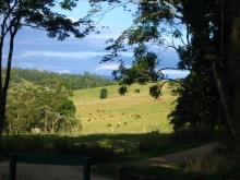 vignette N_australie_2005_300.jpg 