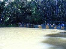 vignette N_australie_2005_342.jpg 