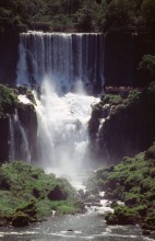 vignette D_bresil_2005_001 