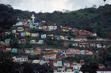 vignette D_bresil_2005_006 