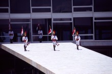 vignette D_bresil_2005_106 
