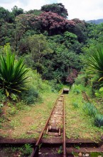 vignette D_bresil_2005_115 