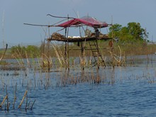 vignette Cambodge_0702.jpg 
