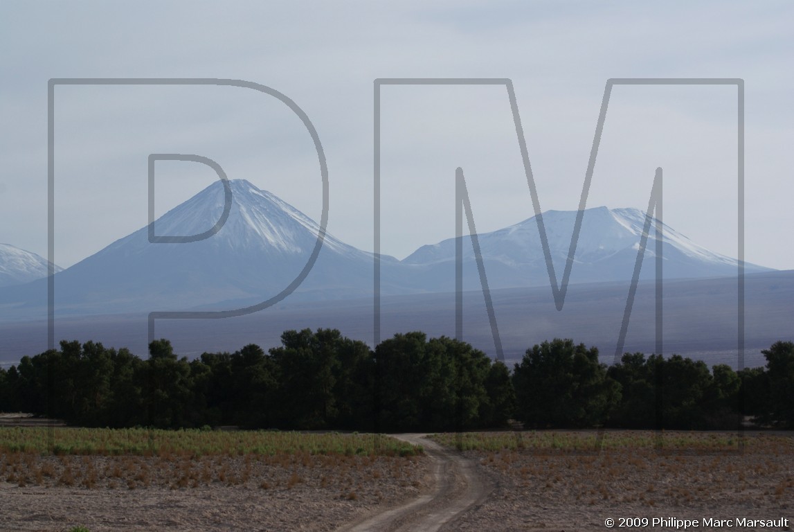 /ecran/Chili_2009_0698.jpg
