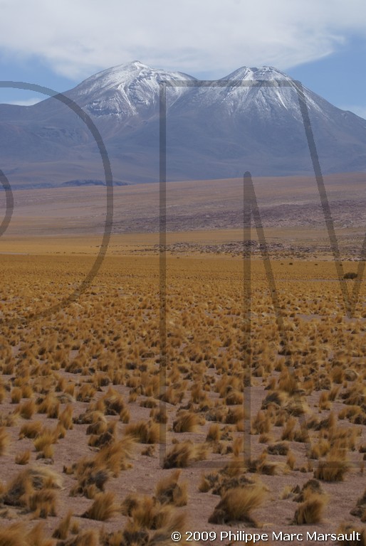 /ecran/Chili_2009_0739.jpg