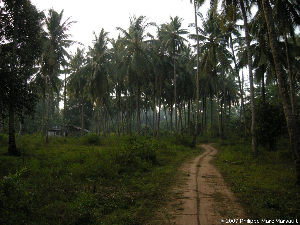 /ecran/Manado_2009_0161.jpg