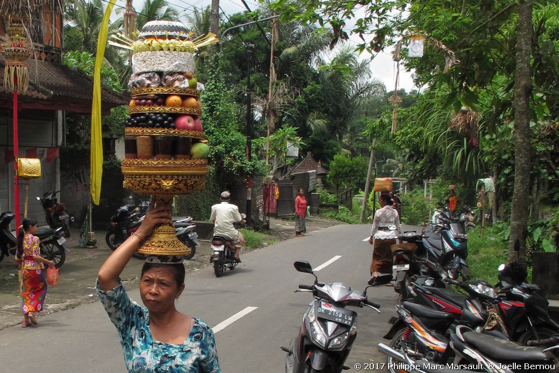 /ecran/Indonesie_2017_0967.jpg