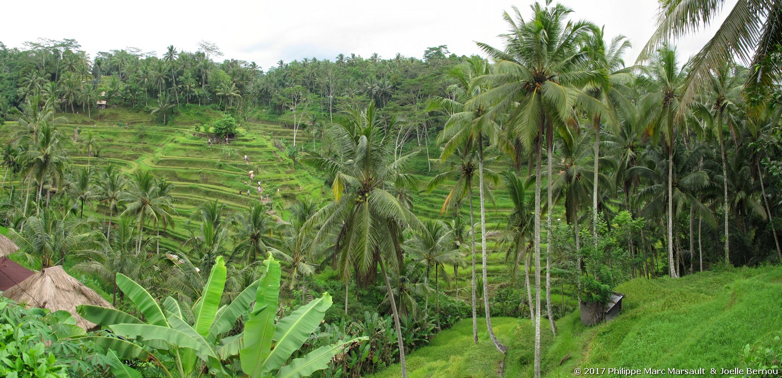 /ecran/Indonesie_2017_0974.jpg