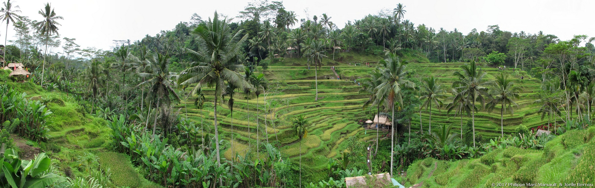 /ecran/Indonesie_2017_1027.jpg