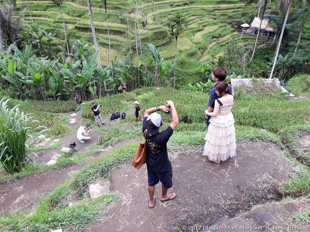 /ecran/Indonesie_2017_1028.jpg