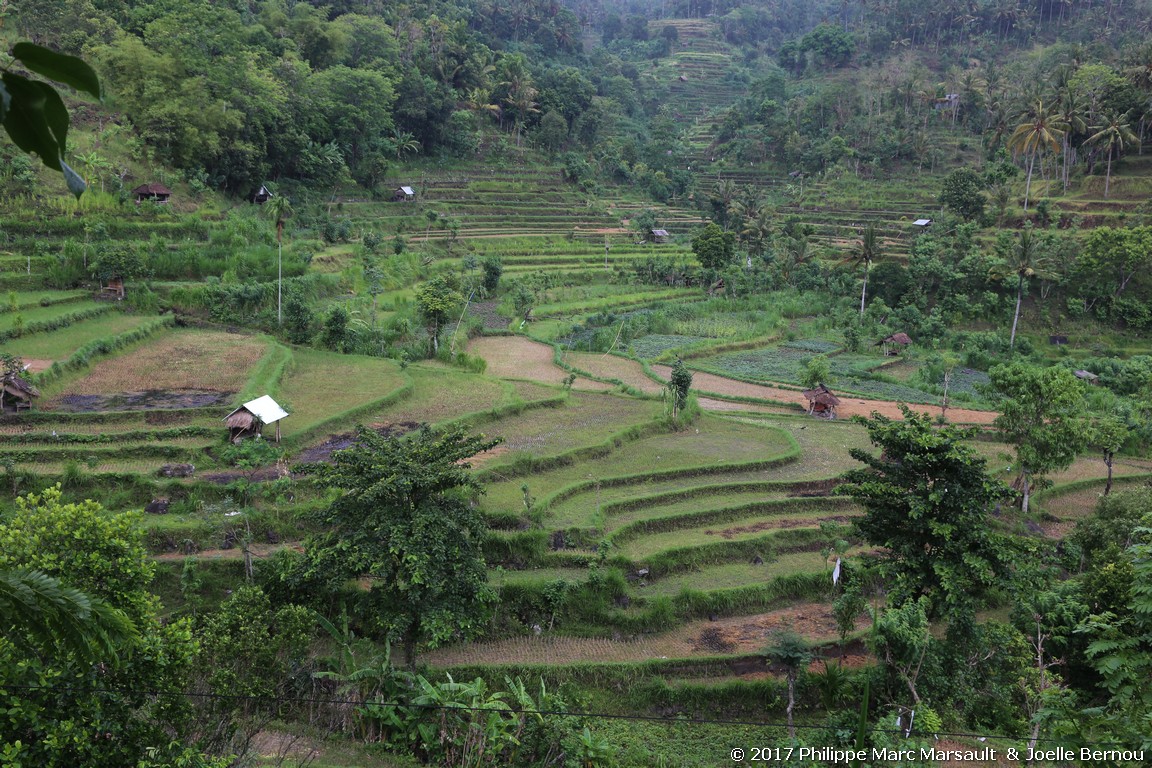 /ecran/Indonesie_2017_1177.jpg