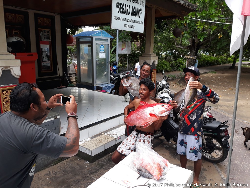 /ecran/Indonesie_2017_1538.jpg