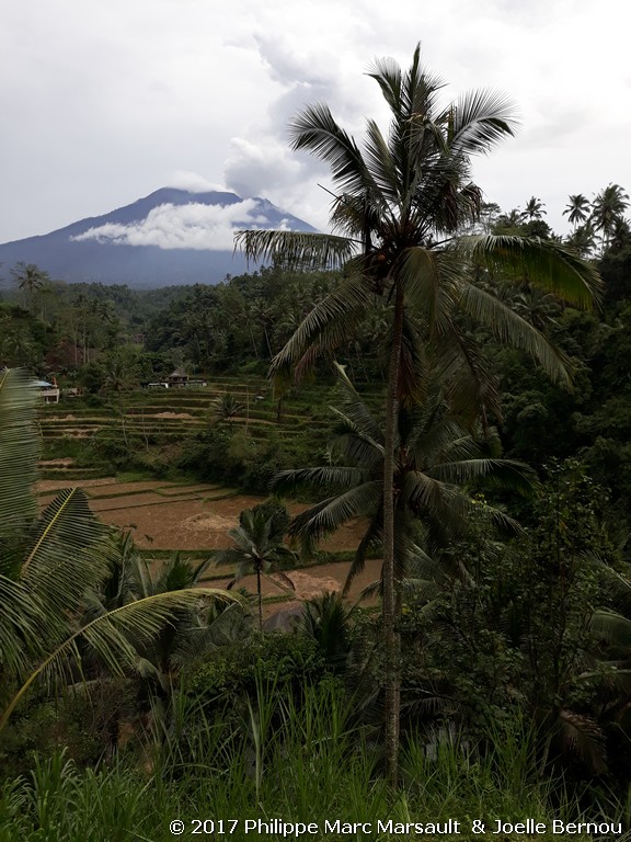/ecran/Indonesie_2017_1602.jpg