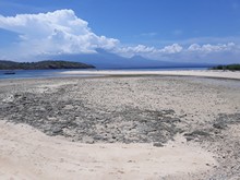 vignette Indonesie_2017_0436.jpg 