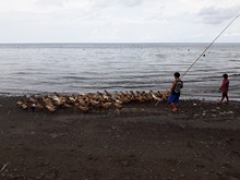 vignette Indonesie_2017_0473.jpg 