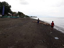 vignette Indonesie_2017_0474.jpg 