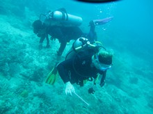 vignette Indonesie_2017_0645.jpg 