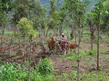 vignette Indonesie_2017_0744.jpg 