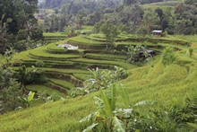 vignette Indonesie_2017_0763.jpg 