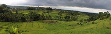vignette Indonesie_2017_0788.jpg 