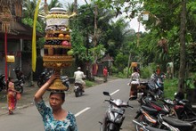vignette Indonesie_2017_0967.jpg 