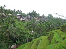 vignette Indonesie_2017_1002.jpg 