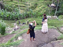 vignette Indonesie_2017_1028.jpg 