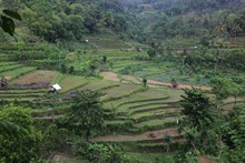vignette Indonesie_2017_1177.jpg 