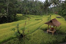 vignette Indonesie_2017_1320.jpg 