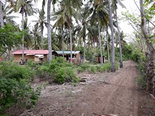vignette Indonesie_2017_1393.jpg 