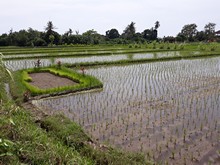 vignette Indonesie_2017_1716.jpg 