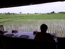 vignette Indonesie_2017_1761.jpg 