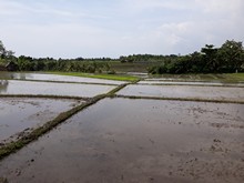 vignette Indonesie_2017_1779.jpg 