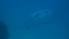 vignette Indonesie_2017_2231.jpg 