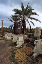 vignette libye_archeo_013.jpg 