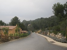 vignette IMG_5533.jpg