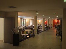 vignette IMG_5534.jpg