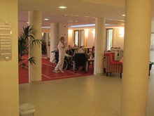 vignette IMG_5535.jpg