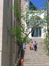 vignette IMG_5489 