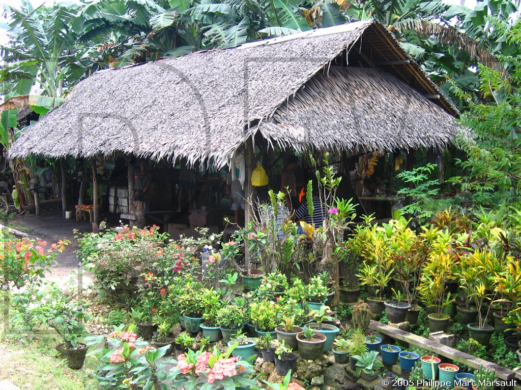 /ecran/philippines_2005_578.jpg