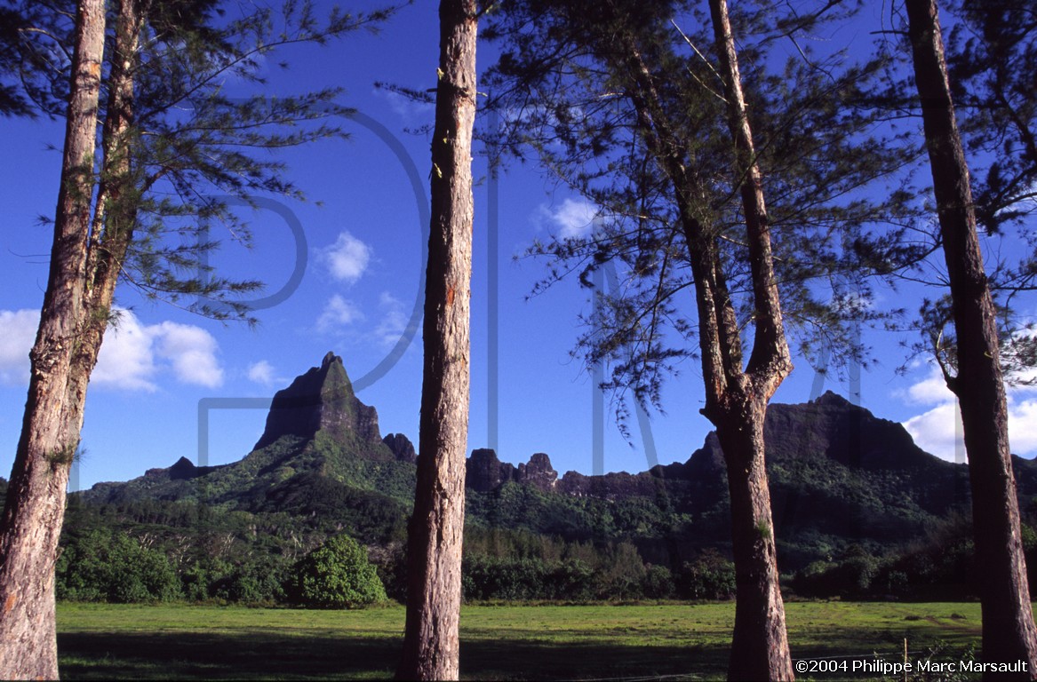 /ecran/D_polynesie_074.jpg