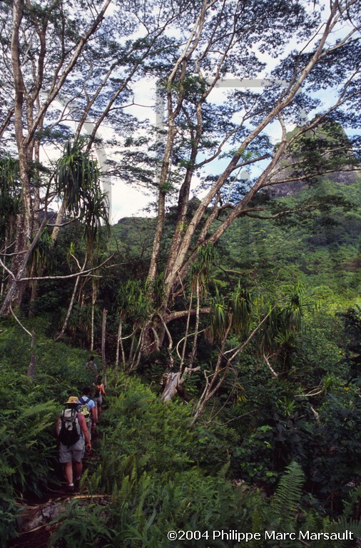 /ecran/D_polynesie_078.jpg