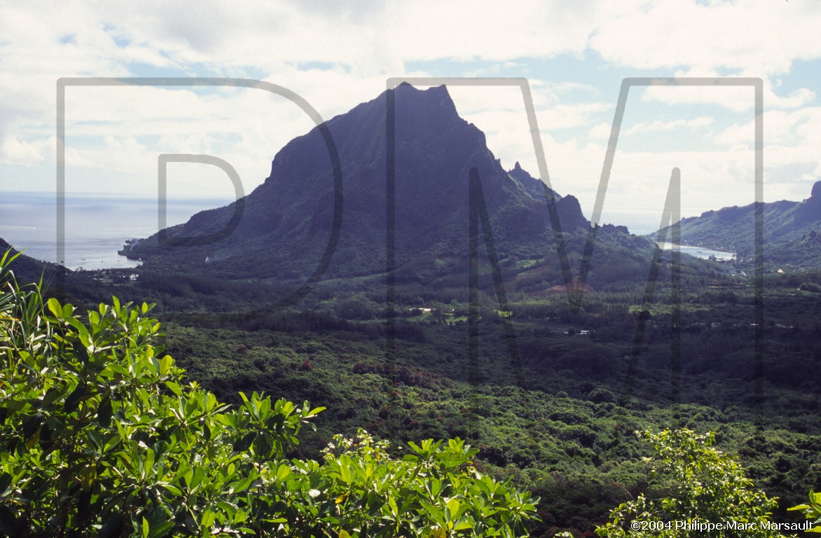 /ecran/D_polynesie_080.jpg