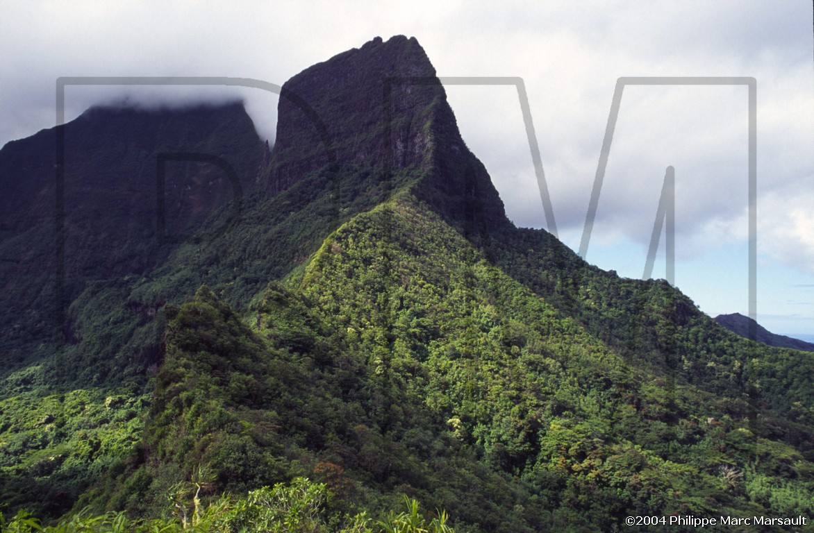 /ecran/D_polynesie_082.jpg